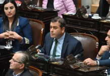 Con cambios impulsados por Herrera Ahuad, Diputados dio media sanción a la nueva ley de Discapacidad