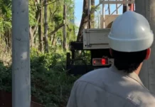 Energía de Misiones construye una nueva línea de media tensión para reforzar el servicio eléctrico en Puerto Iguazú