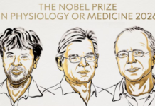 Tres científicos se quedaron con el Nobel de Medicina por el uso de la luz para el estudio de células y neuronas