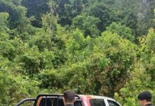 Una camioneta robada en Corrientes fue hallada abandonada en una zona de monte de Oberá