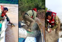 Guardaparques incautaron 70 redes de pesca ilegal en operativo binacional en el río Uruguay
