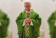 La salud del papa León XIV: celebró una misa y nuevos estudios confirman una “mejora constante”
