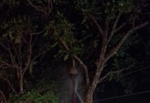 Bomberos de la Policía sofocaron un incendio en postes del tendido eléctrico en Apóstoles
