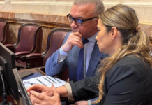 El Senado dio media sanción al proyecto para regular los mercados de carbono y generar inversiones