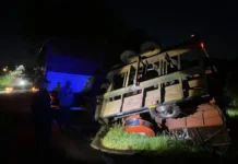 Un camión despistó y volcó el tráiler que transportaba una cosechadora de té en Alem